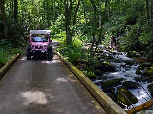 Pink Jeep traveling through lush forest on the Roaring Fork Motor Nature Trail, Great Smoky Mountains National Park