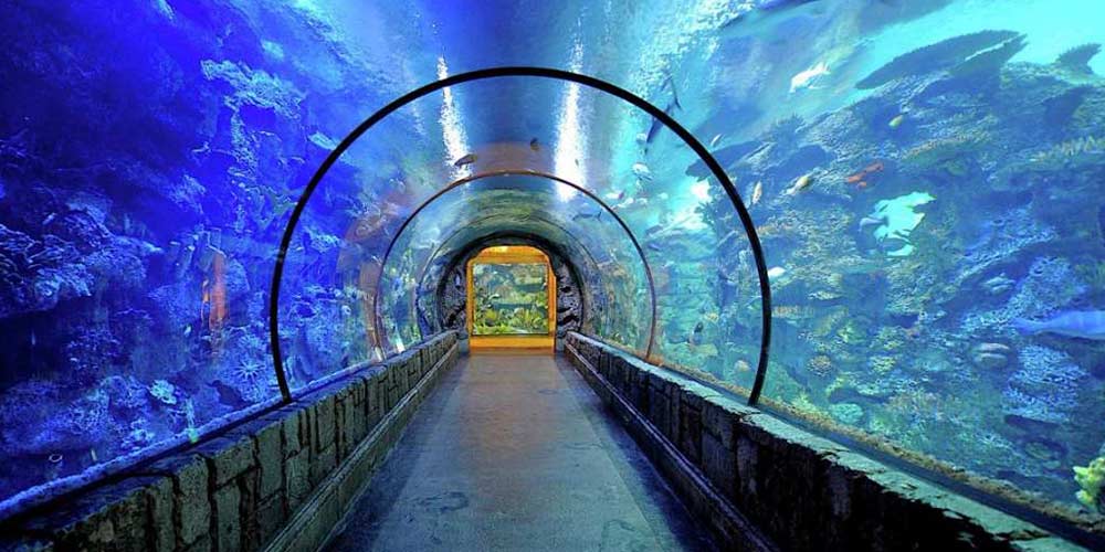 View from inside the shark tunnel at the Shark Reef Aquarium, Mandala Bay Resort and Casino, Las Vegas.