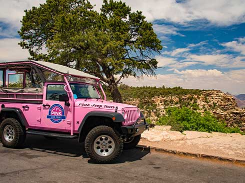 Pink Jeep® Wrangler  parked by a tree overlooking the Grand Canyon National Park's South Rim.