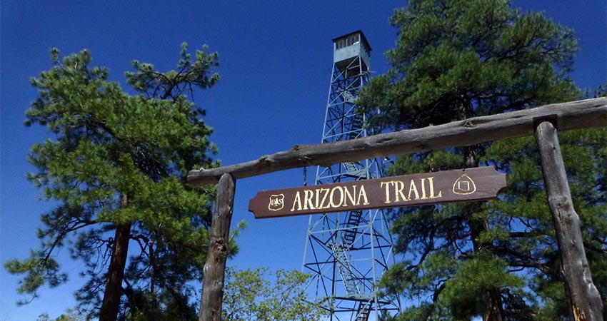 Trailhead sign for the Arizona Trail with the Grandview Lookout Tower in the background surrounded by ponderosa  pine trees, Kaibab National Forest, Arizona.