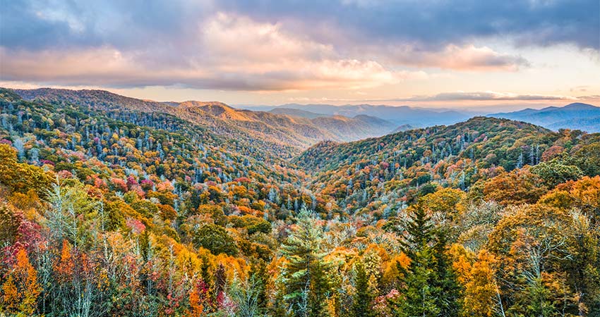 Pink sunlight streams across a beautiful autumn landscape of Great Smoky Mountains National Park at Newfound Gap.