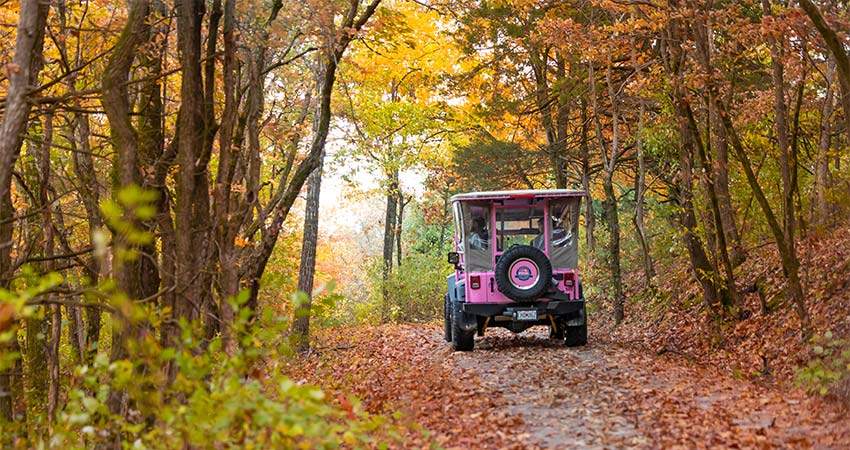 Pink Jeep Wrangler traveling down a leaf-covered forest trail lined by Autumn trees bursting with color in Branson, MO.