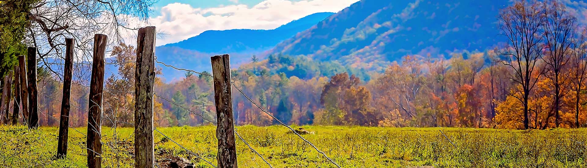 A rail fence stands out against splashes of autumn colors in Cades Cove at the base of the Great Smoky Mountains National Park.