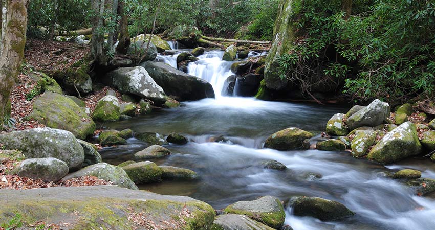 Timelapse of a flowing stream cascading over boulders in the Smoky Mountains National Park forest.