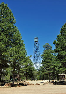 Tall ponderosa pine trees frame the steel fire tower at the Grandview Lookout Arizona Trail access point in Kaibab National Forest near the Grand Canyon.