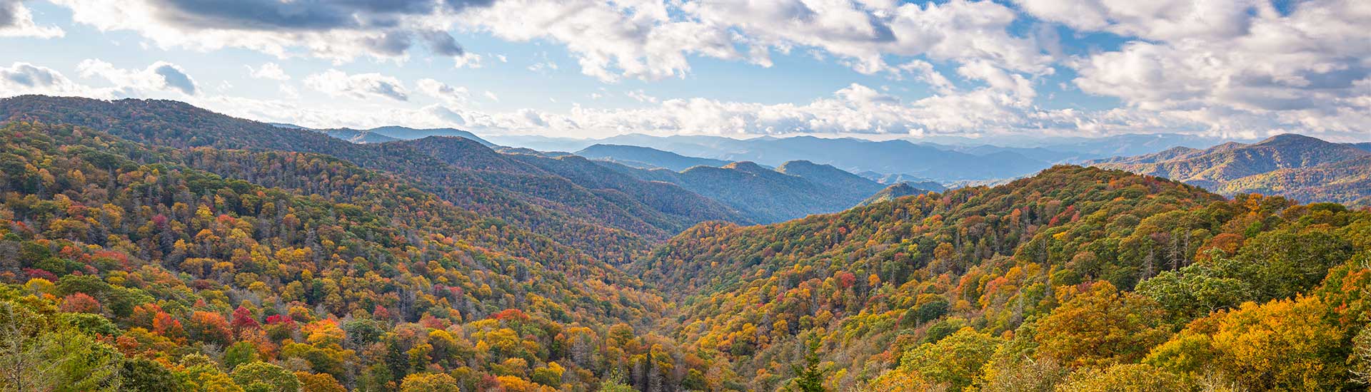 Early autumn colors spread across the Great Smoky Mountains at the Newfound Gap Overlook, with puffy clouds overhead.