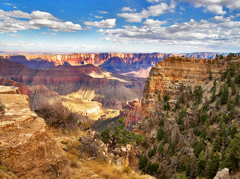 A golden glow is cast over the geological formations of the Grand Canyon, under a beautiful blue sky with puffy white clouds, Grand Canyon South Rim.