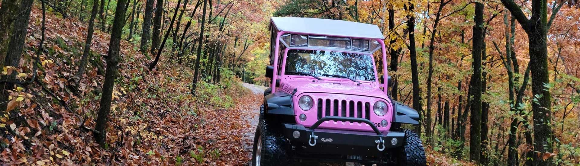 Closeup view of a Pink Jeep Wrangler driving towards camera flanked by Autumn trees on the Ozark Mountain Crawl tour, Branson, MO..