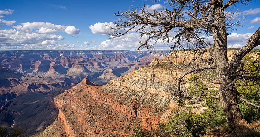 Dramatic view of the Grand Canyon from Pipe Creek Vista on Desert View Drive during summer, Grand Canyon National Park, AZ.