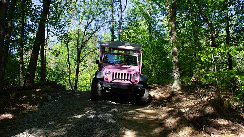 Front view of a Smoky Mountains Pink Jeep Wrangler navigating an exclusive 4x4 off-road trail through thick forest.