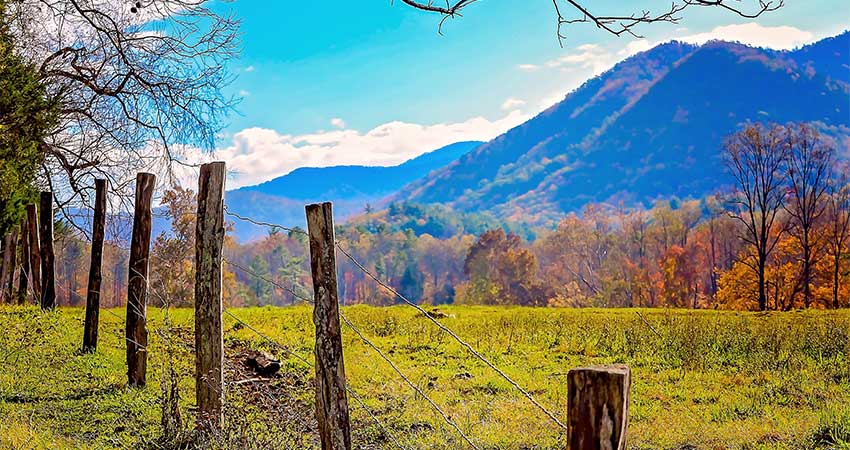 A wooden rail fence stretches out among splashes of fall foliage and blue mountains in the Cades Cove region of the Great Smoky Mountains, TN.