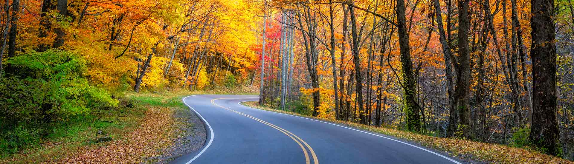 Newfound Gap Road winds through a forest of brilliant autumn colors in Great Smoky Mountains National Park, Tennessee.