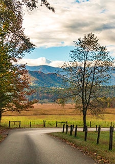 Curved road in the foreground of a vibrant autumn landscape in Cades Covey Valley, Great Smoky Mountains National Park.