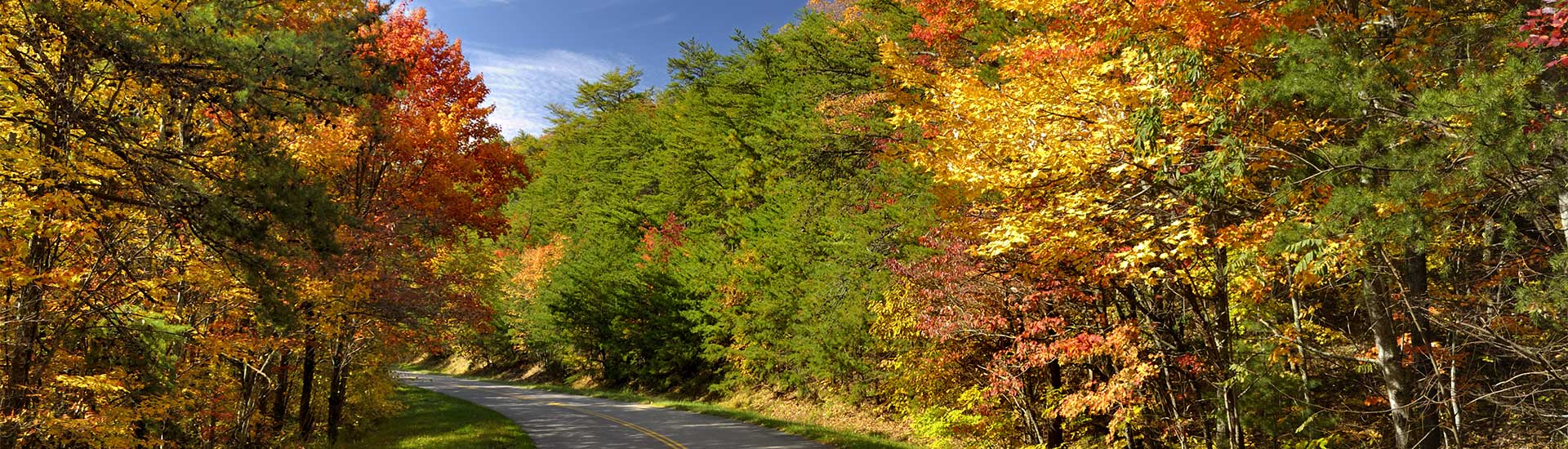 Colorful fall leaves seen along the Foothills Parkway West in the Great Smoky Mountains National Park in late October.