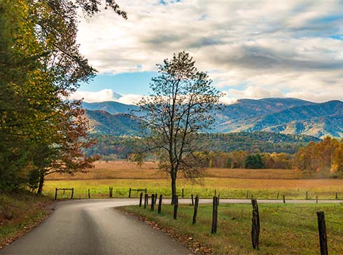 A paved road winds in the foreground of a vibrant autumn landscape in Cades Cove Valley, Great Smoky Mountains National Park, TN.