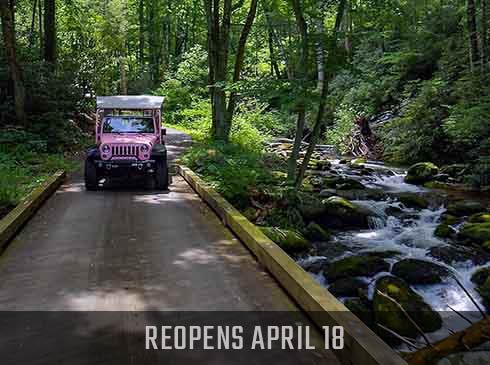 Pink Jeep Tours' Jeep Wrangler driving along the Roaring Fork Motor Nature Trail, Smoky Mountains National Park, reopens April 18 banner.