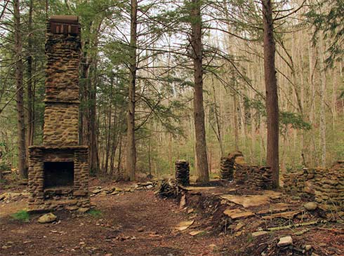 Stone fireplace and chimney relics in an autumn forest near Elkmont Ghost Town, Great Smoky Mountains National Park, TN.