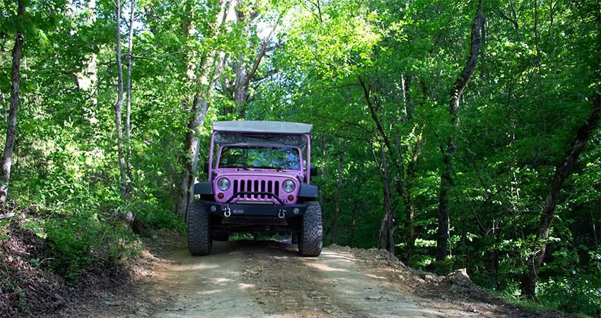 Smoky Mountains Pink Jeep Wrangler on the private, off-road 4x4 Bear Track trail exclusive to Pink Jeep Tours.