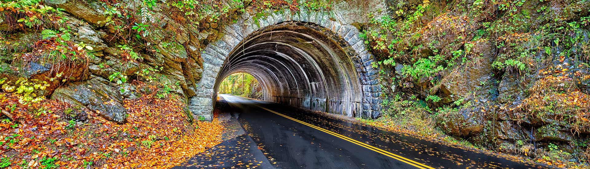 Autumn leaves surround the entrance of a landmark Smoky Mountains tunnel between Townsend, TN and Cades Cove in the Smoky Mountains.