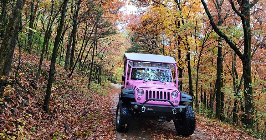 Pink Jeep Wrangler driving towards camera on a trail flanked by colorful autumn trees in Branson, Missouri. 