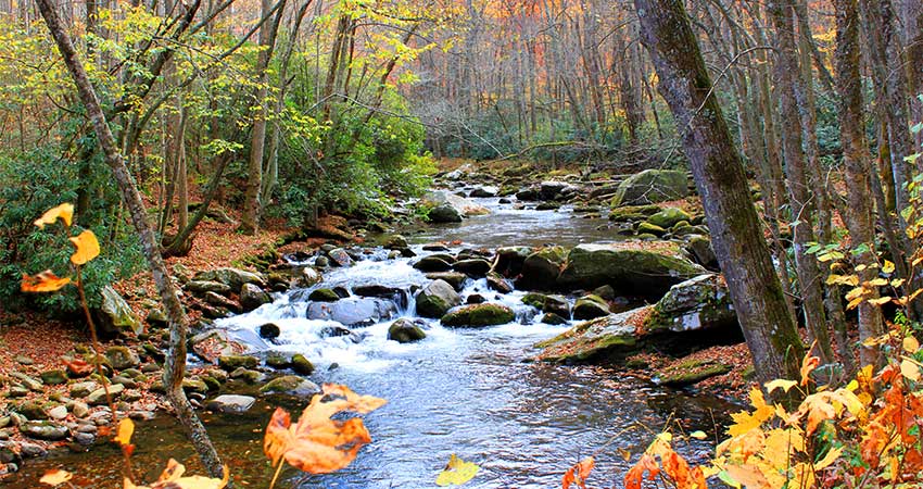 Autumn view of the Little River from Elkmont Little River hiking trail in Great Smoky Mountains National Park, TN.