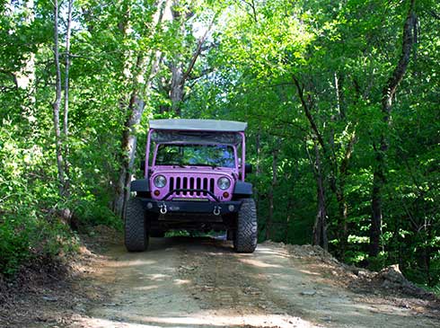 Pink Jeep Wrangler driving towards camera along a private, 4x4 off-road trail, Smoky Mountains Pink Jeep Tours.